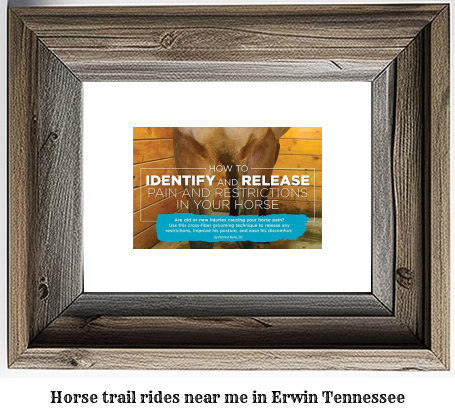 horse trail rides near me in Erwin, Tennessee